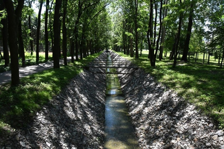 Trwa modernizacja Parku Zdrojowego w Busku-Zdroju. Już widać efekty. Zobaczcie [WIDEO, ZDJĘCIA]