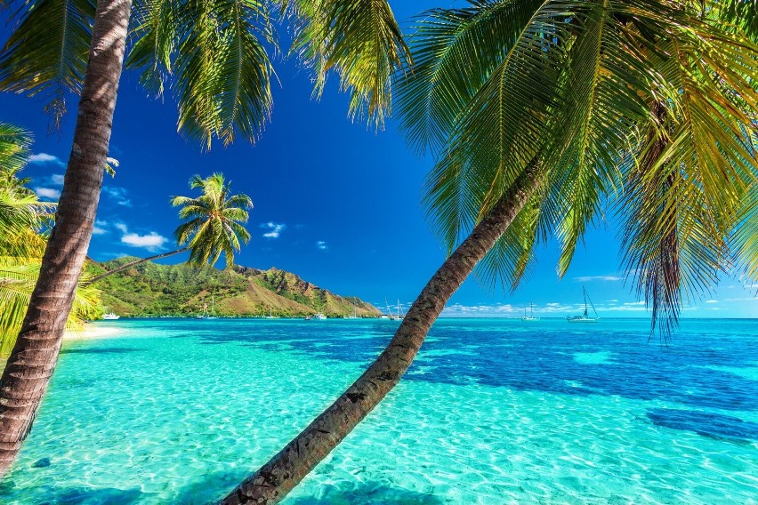 Polinezja Francuska to jeden z najpopularniejszych...