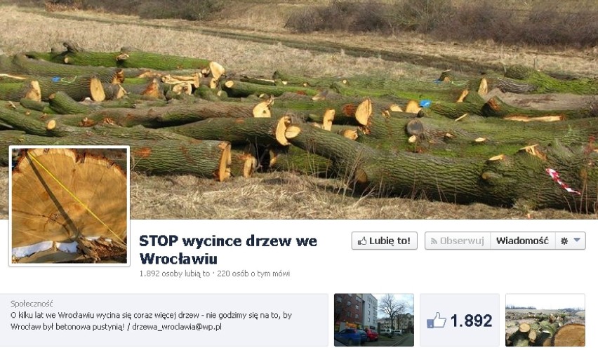 Stowarzyszenie MiastoDrzew krytykuje masową wycinkę drzew