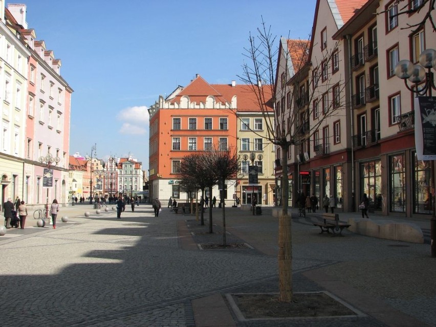 Wrocław: Nowe drzewka na Świdnickiej (ZDJĘCIA)
