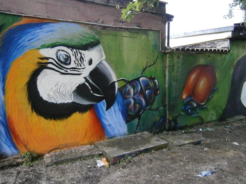 graffiti jam w rudzie śląskiej