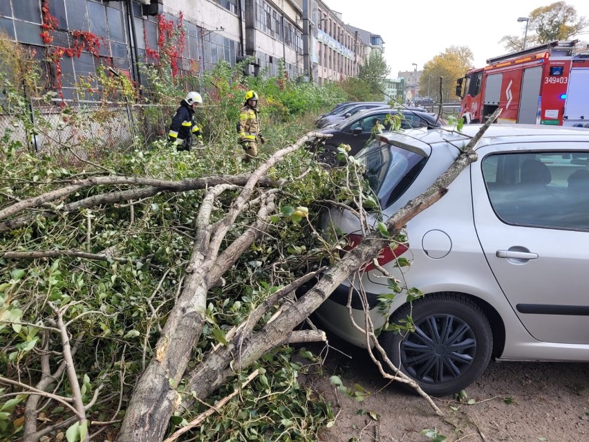 Wichura w Kaliszu i powiecie kaliskim. Prawie 130...