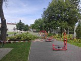 Potężny konar drzewa spadł na dziecko na placu zabaw w Parku Strzeleckim w Tarnowie. Policja sprawdza czy można było temu zapobiec