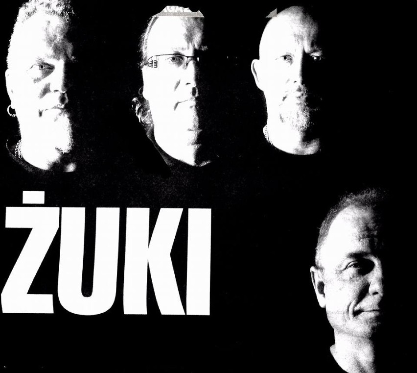 Żuki to jeden z najpopularniejszych tribute-bandów w Polsce.