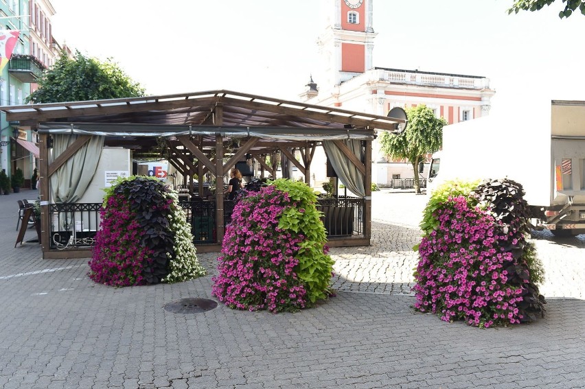 Od 18 maja wracają ogródki i restauracje w Lesznie