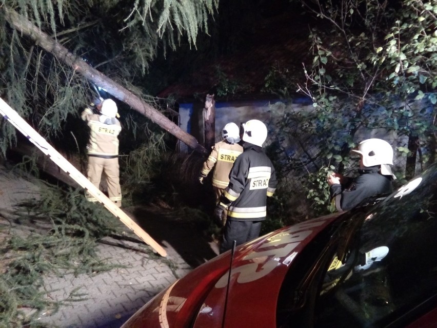 Strażacy usuwają powalone drzewo, które spadło w Rabce i w...