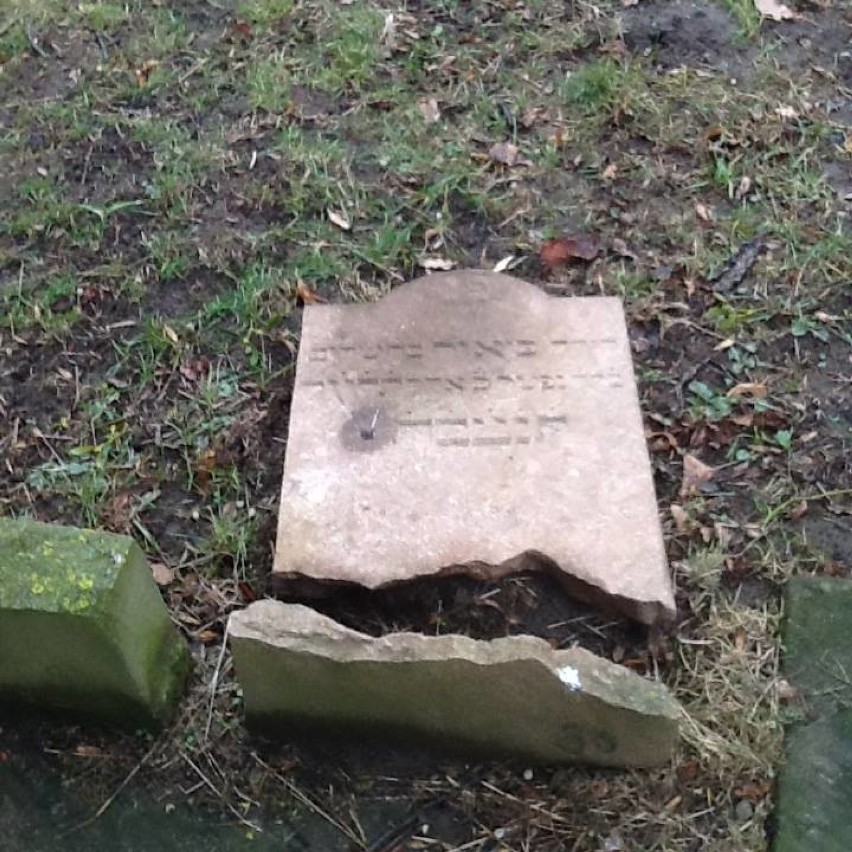 Zniszczone macewy na cmentarzu żydowskim w Gdańsku
