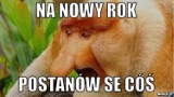 Nowy rok, nowa ja... i tak co roku. MEMY o postanowieniach noworocznych. A ty co chcesz zmienić w nowym 2021 roku?