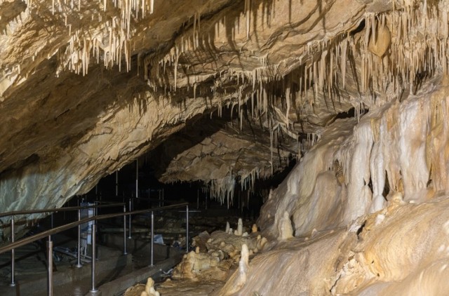 Jaskinia na trasie zwiedzania została zabezpieczona i oświetlona. Trasa liczy około 360 m, możemy na niej zobaczyć około 500 m jaskini.