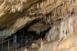 Jaskinia Niedźwiedzia w Kletnie to niezwykła atrakcja turystyczna na Dolnym Śląsku. Sprawdź cennik biletów, zasady zwiedzania