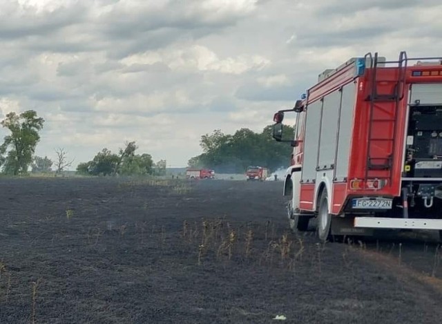 Pożar traw na nieużytkach w okolicach Krosna Odrzańskiego.