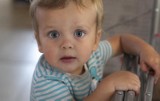 Dwuletni Franciszek z Czastar już po operacji serca w USA. - Przebiegła pomyślnie – informują rodzice