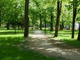 Niedzielny majowy spacer po Parku Miejskim w Zduńskiej Woli [zdjęcia i video]
