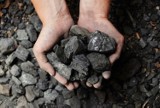 Mieszkanka powiatu wieluńskiego oszukana "na węgiel"