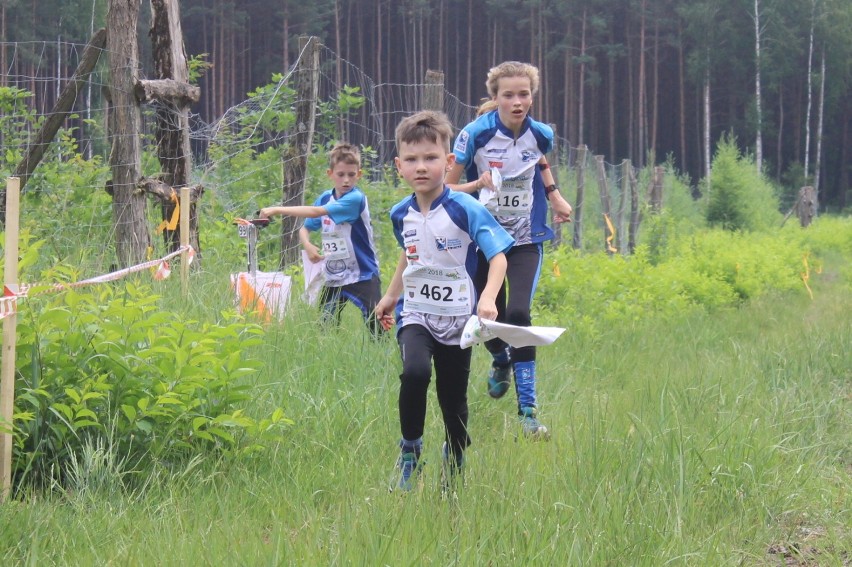 UMKS Kwidzyn gospodarzem Pucharu Najmłodszych. Zawody w weekend, na liście startowej prawie 400 biegaczy!