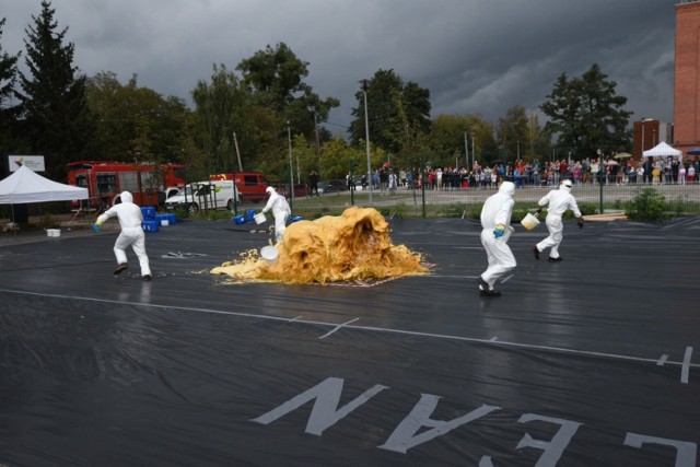 Bicie rekordu Guinnessa w Toruniu. Gigantyczna pasta dla słonia. Robi wrażenie! ZDJĘCIA