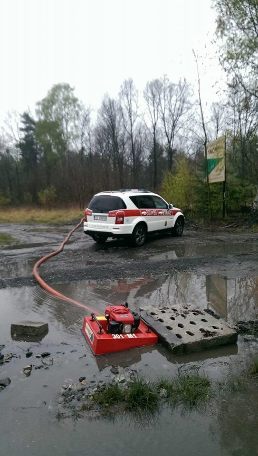 Lokalne podtopienia w Katowicach. Strażacy odpompowywali wodę [ZDJĘCIA]