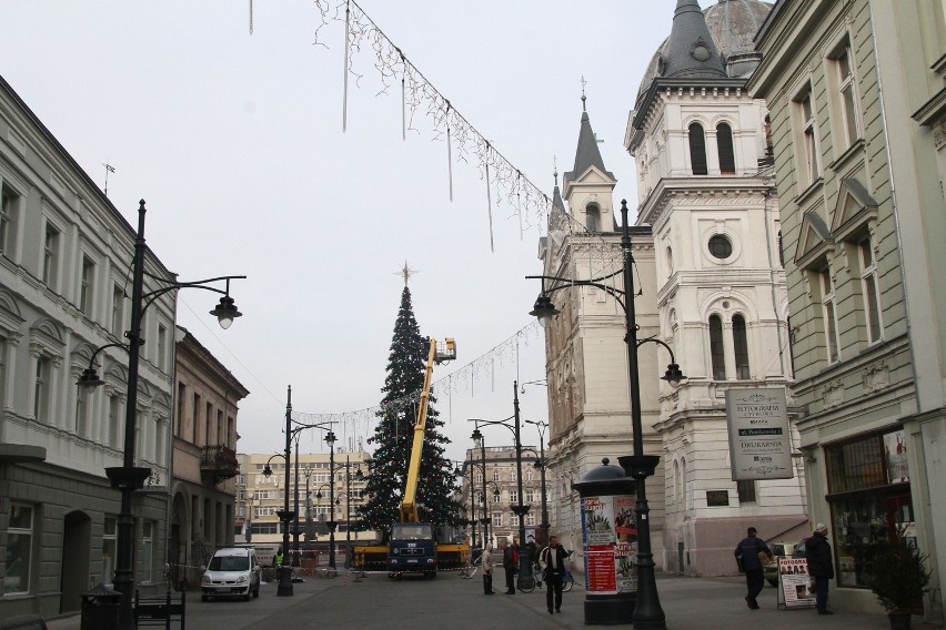 Choinka wysokości 7 pięter stanęła na placu Wolności przy wlocie w ul. Piotrkowską w Łodzi