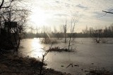 Szykuje się inwestycja na Ceglanej. Miasto straci cenny ekolicznie obszar?