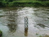 Radomszczański: Poziom wody w rzekach rośnie. Przekroczony stan ostrzegawczy na Warcie