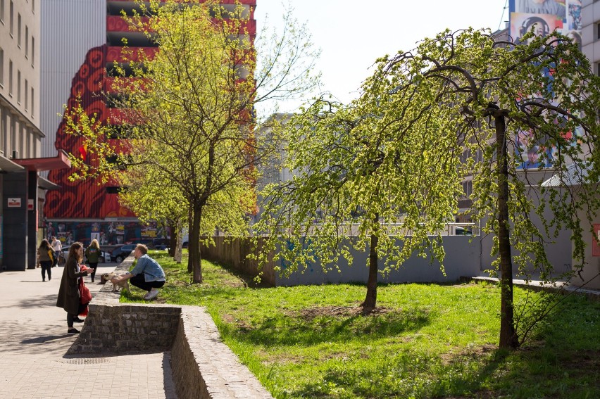 Zobaczcie też: „Domek dla lalek”. Urokliwa kamienica...