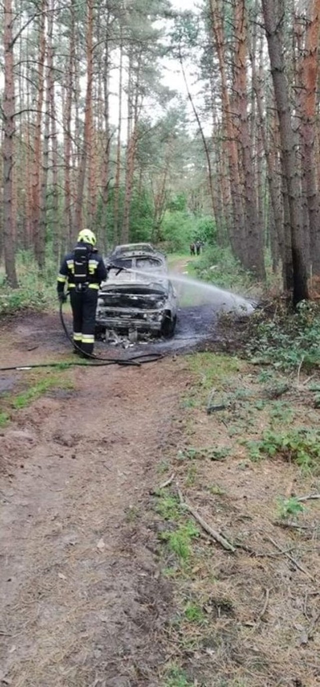 Tajemniczy pożar samochodu w lesie koło Nowieczka