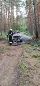 Tajemniczy pożar samochodu w lesie koło Nowieczka 