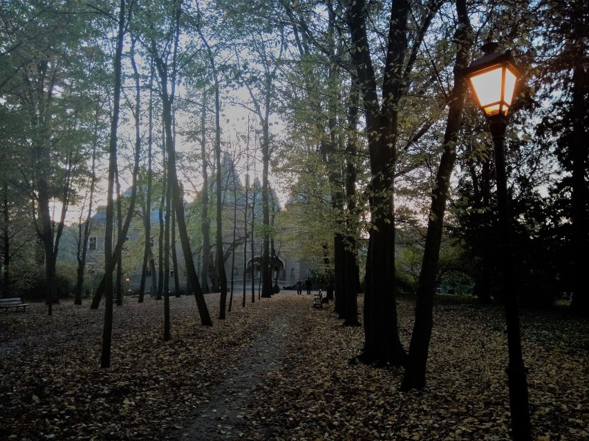 Parku-arboretum w Gołuchowie. Zobacz go w jesiennej szacie