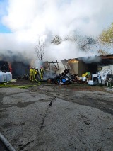 Pożar budynków i wybuch dwóch butli gazowych w gminie Chełmno. Zdjęcia