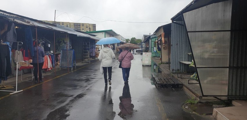 Bełchatów. Dużo nowalijek na miejskim targowisku.Zobacz, ile kosztują ZDJĘCIA