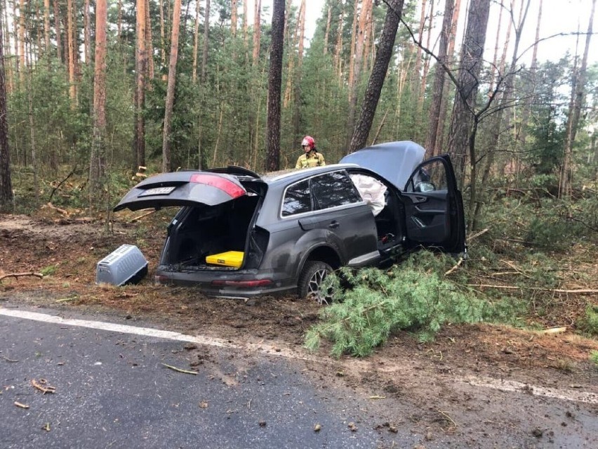 Samochód, którym jechał sprawca był skradziony w Niemczech