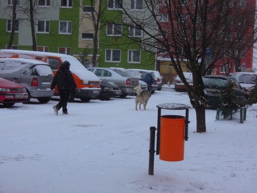 Zima w Zamościu (fotogaleria)