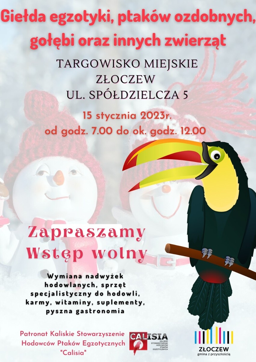 Pierwszy handlowy dzień na targowisku miejskim w Złoczewie w 2023. Niebawem giełda egzotyki ZDJĘCIA