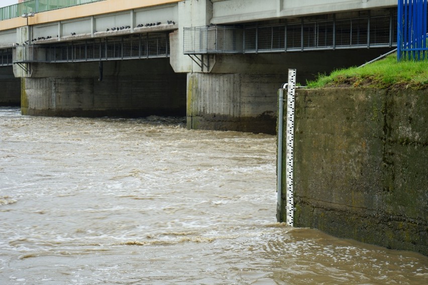 Wysoki poziom wody na Wisłoku. Monitoring powodziowy: gdzie może wylać Wisłok. Jak sprawdzić, czy grozi powódź