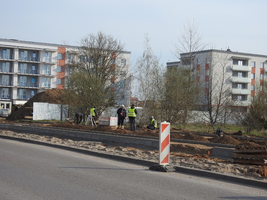 Przebudowa ulicy Szpitalnej w Suwałkach. Mieszkańcy: Zostawcie te drzewa!