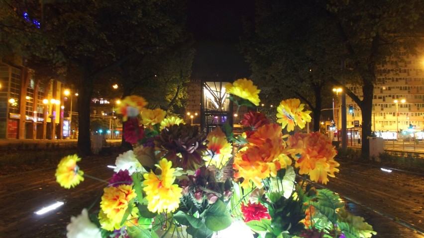 Nocne "sadzenie" kwiatów w Alei Kwiatowej