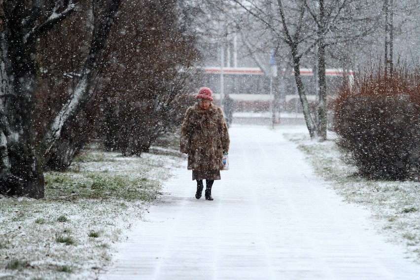 Piotrków, zima 2020: Pierwszy śnieg w tym roku spadł w...