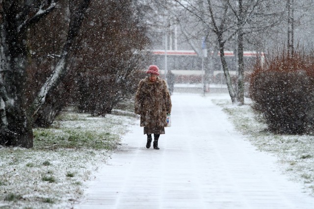 Piotrków, zima 2020: Pierwszy śnieg w tym roku spadł w Piotrkowie 