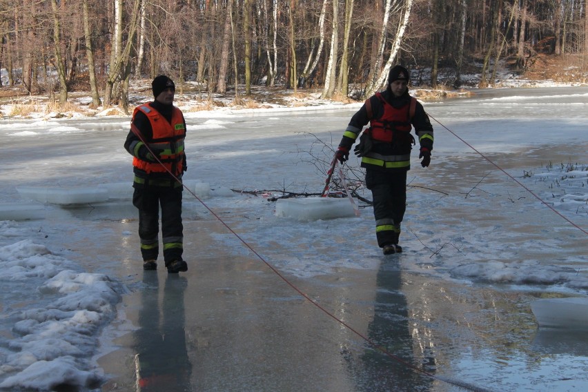 Rybnik: Ćwiczenia strażaków na zamarzniętym stawie