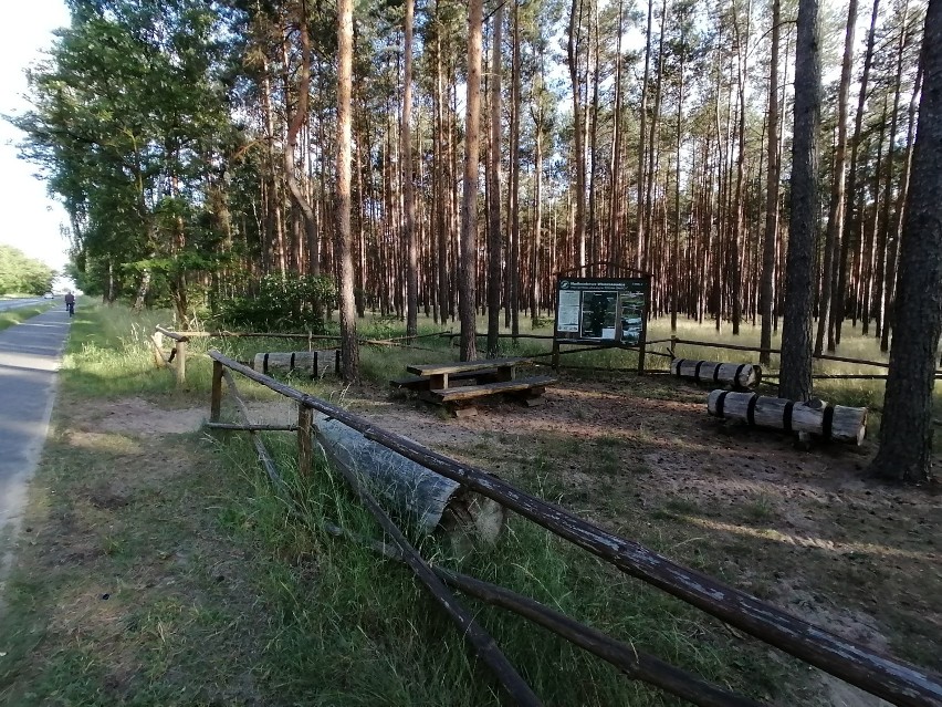 Region. Ścieżka rowerowa Święciechowa-Gołanice otoczona łąkami, polami i lasami [ZDJĘCIA] 