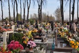 Cmentarze w obiektywie uczniów z Rydułtów. Zobacz zdjęcia