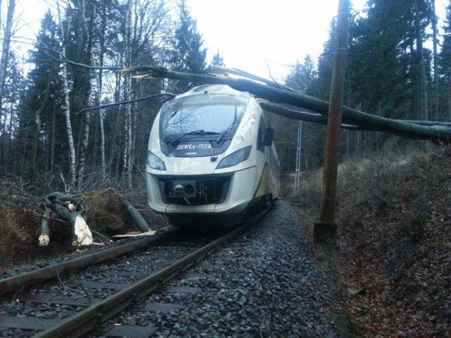 Pociąg zderzył się z drzewem, leżącym na torach wiodących do Szklarskiej Poręby.