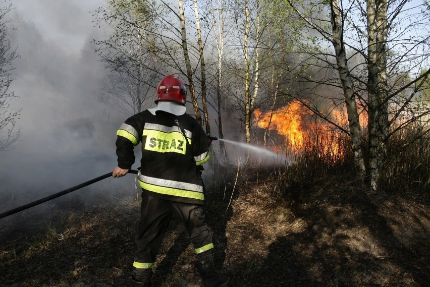 Najwyższy stopień zagrożenia pożarowego w Gnieźnie i...