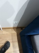 W Skarżysku do mieszkania wleciał nietoperz. Wystraszona kobieta wezwała policjantów