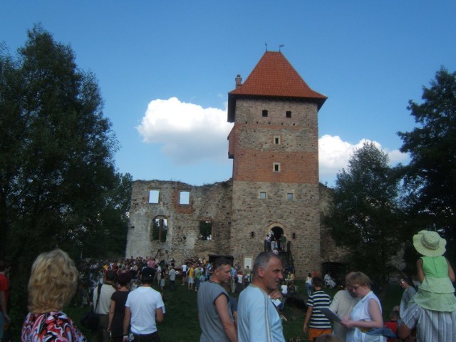 Zamek w Chudowie. /Fot. Agata Pańczyk