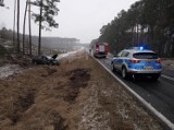 Gmina Międzychód. W okolicy Żmijowca samochód osobowy wypadł z drogi