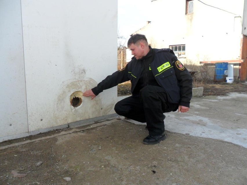 Szamocin: Straż Miejska uratowała psa, który tkwił głową w... ścianie [FOTO]