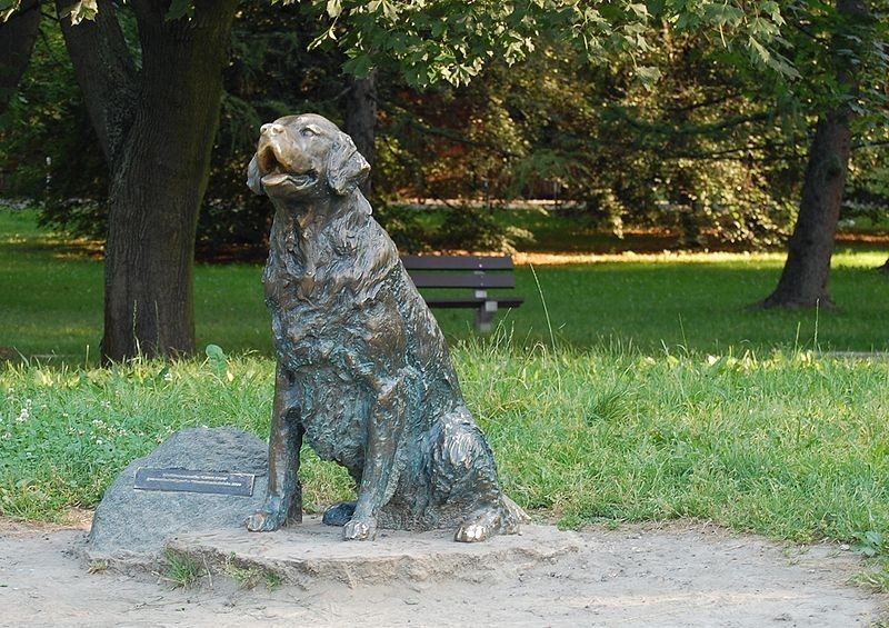 Pomnik Szczęśliwego Psa na Polu Mokotowskim w Warszawie
