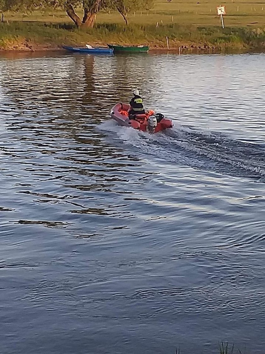 Zwierzę wpadło do rzeki po przeciwnej stronie Santoka. Od...