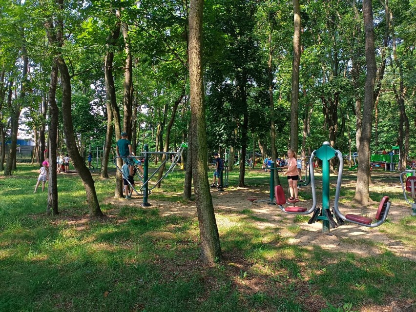 Kościan. 90 uczniów na półkoloniach w Szkole Podstawowej nr...